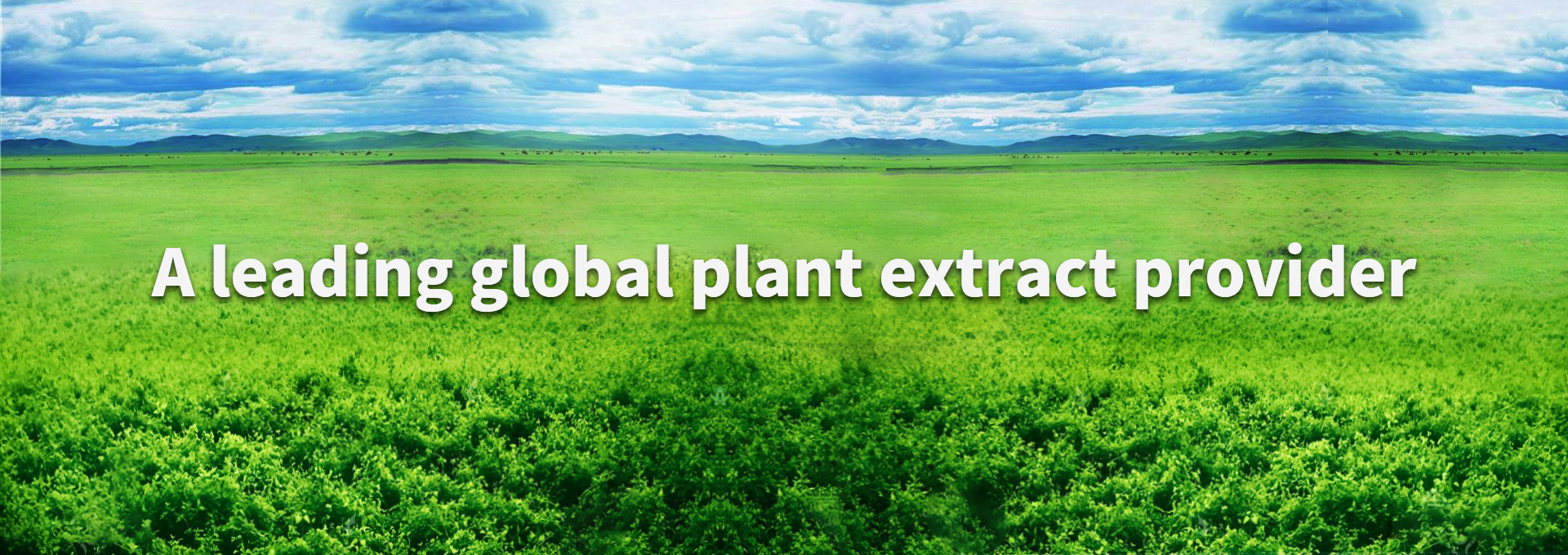 乐宝体育·(中国)官方网站