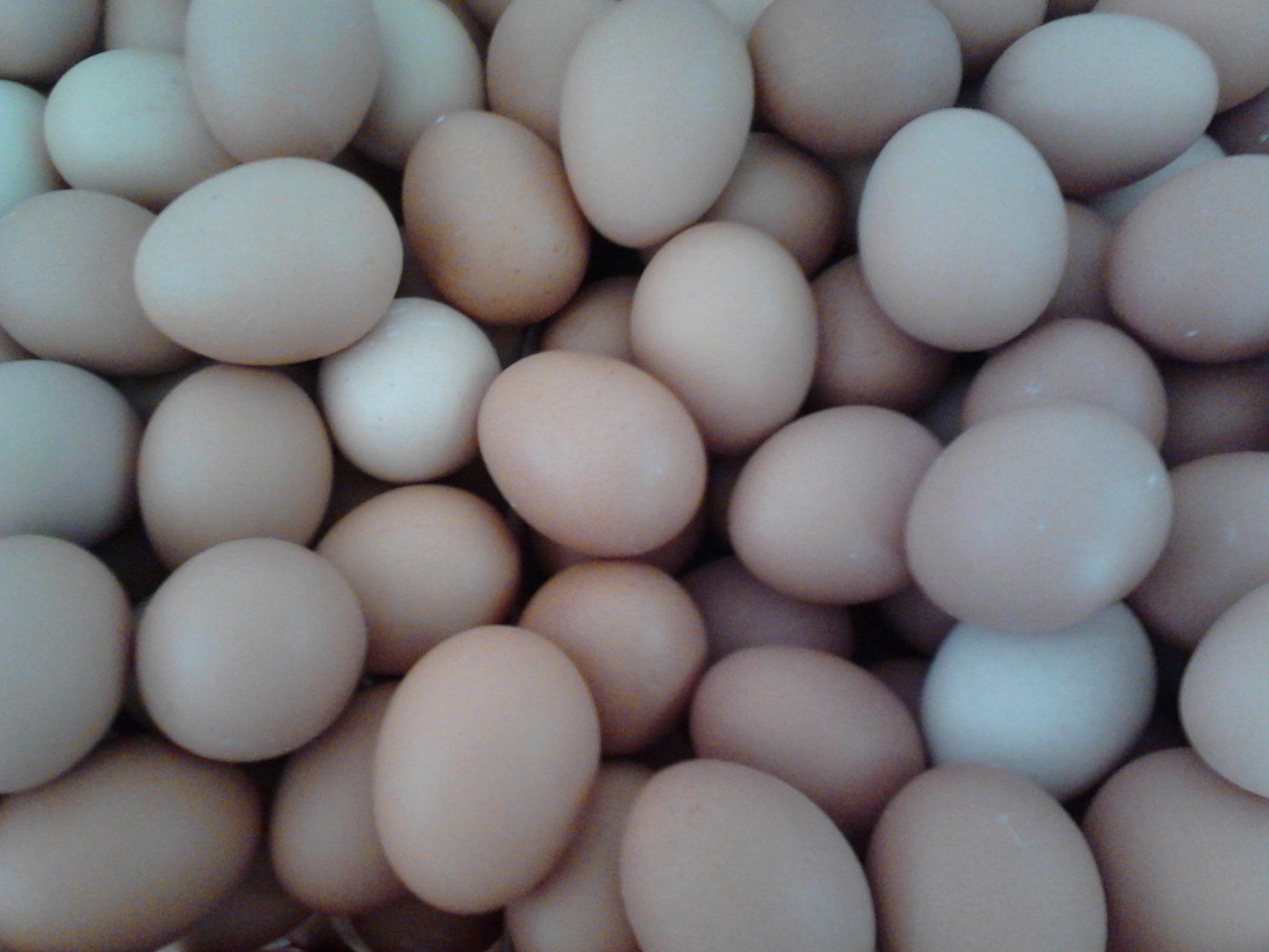 乐宝体育·(中国)官方网站