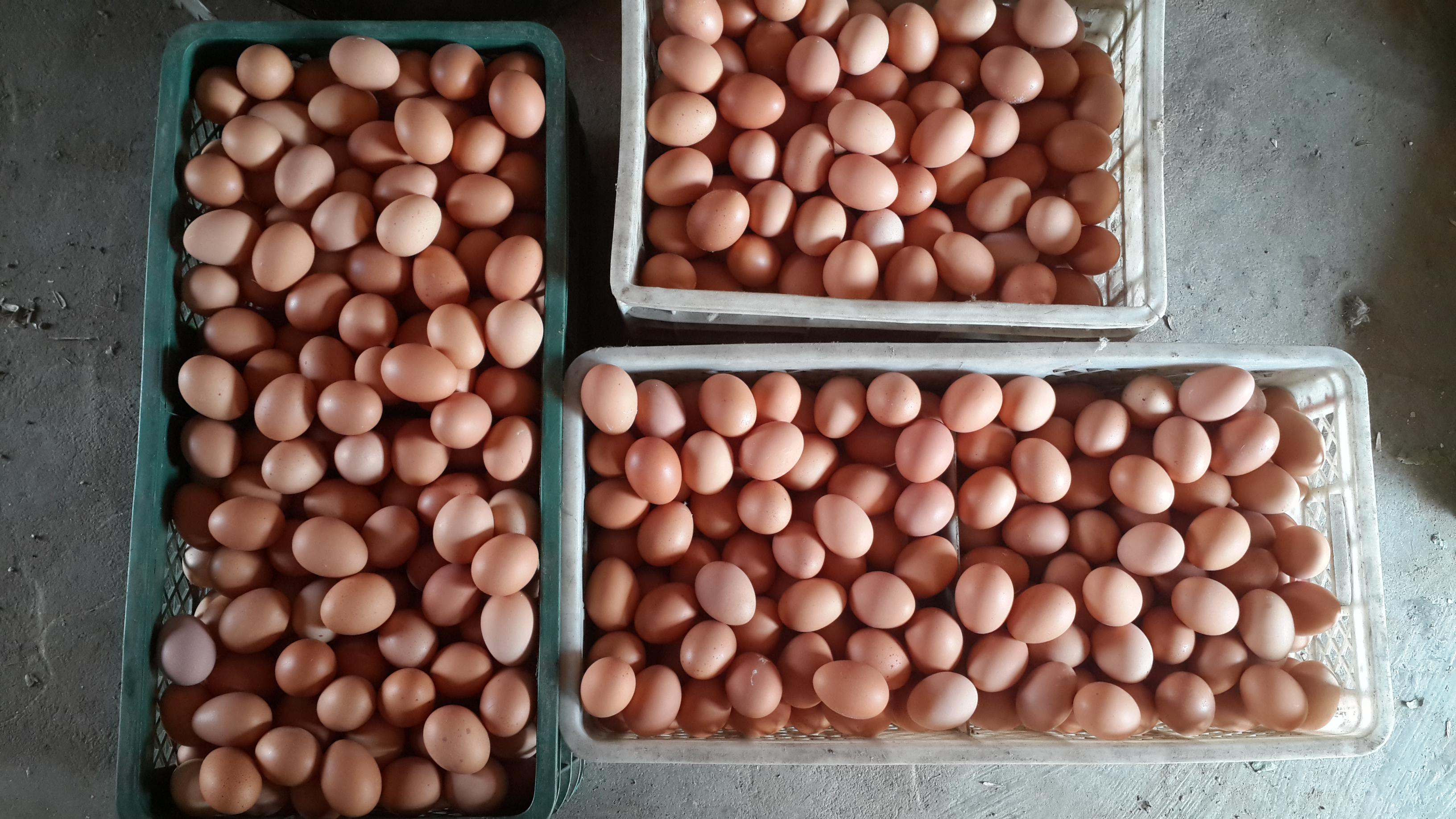 乐宝体育·(中国)官方网站