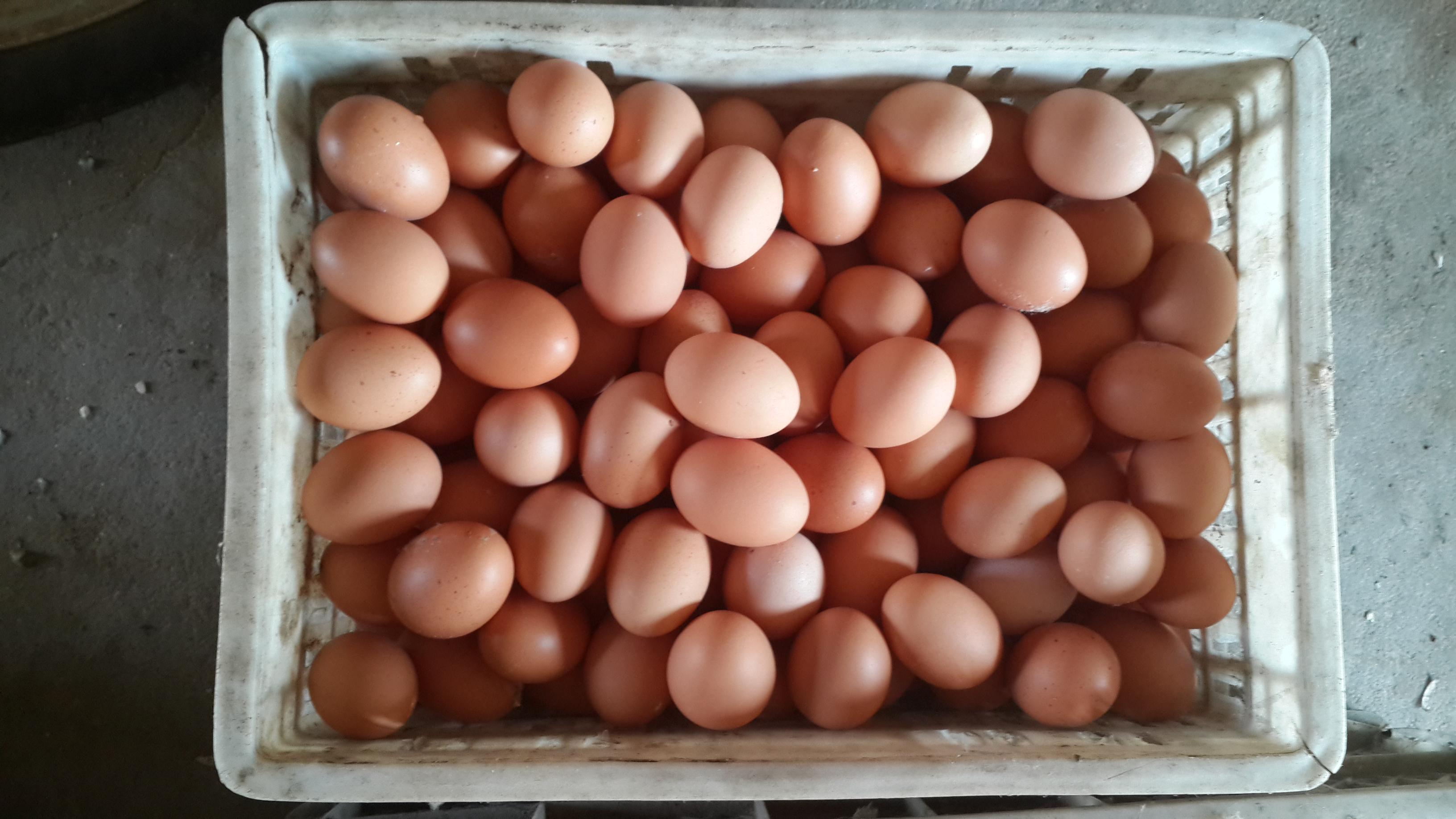 乐宝体育·(中国)官方网站