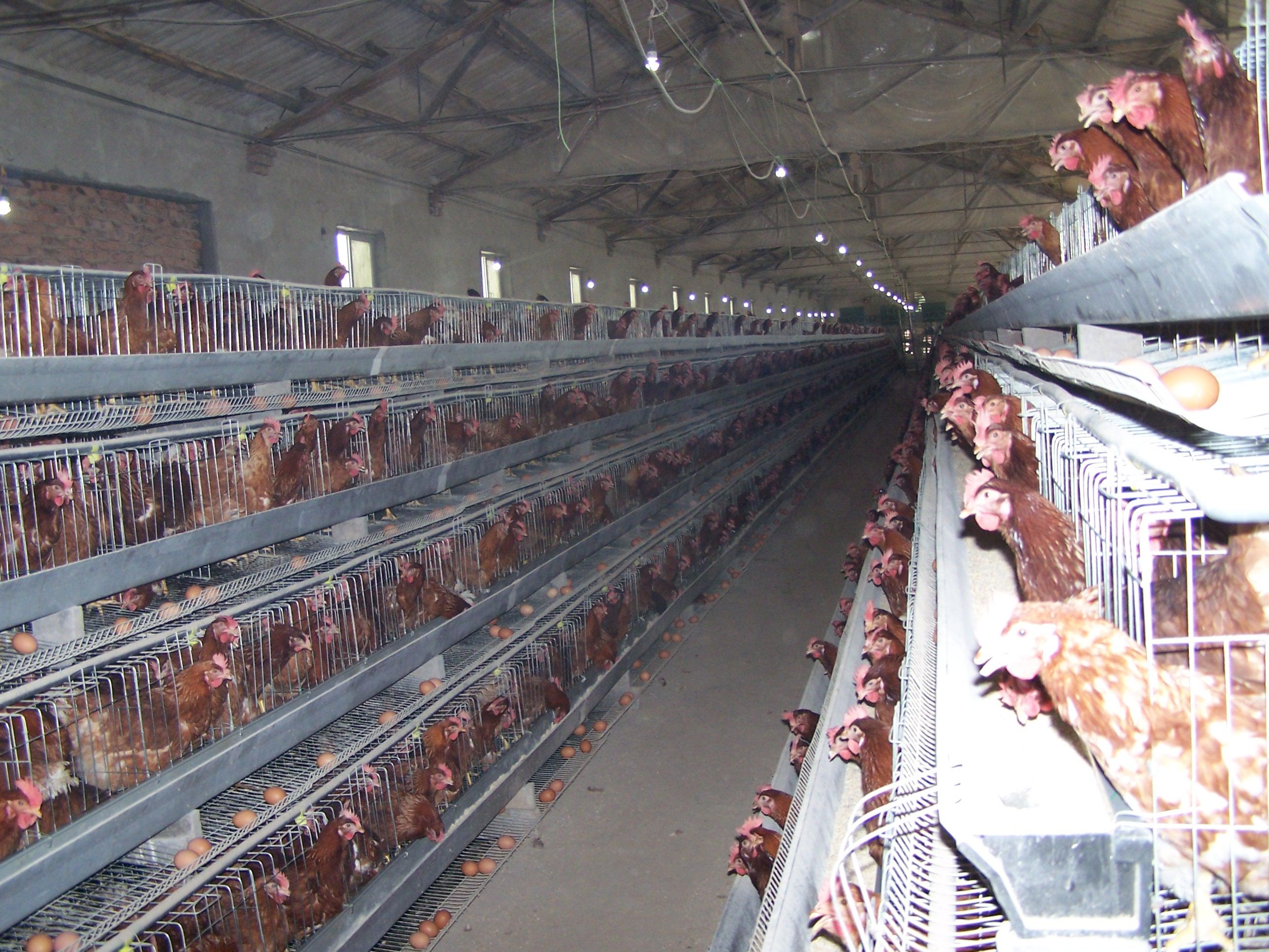 乐宝体育·(中国)官方网站