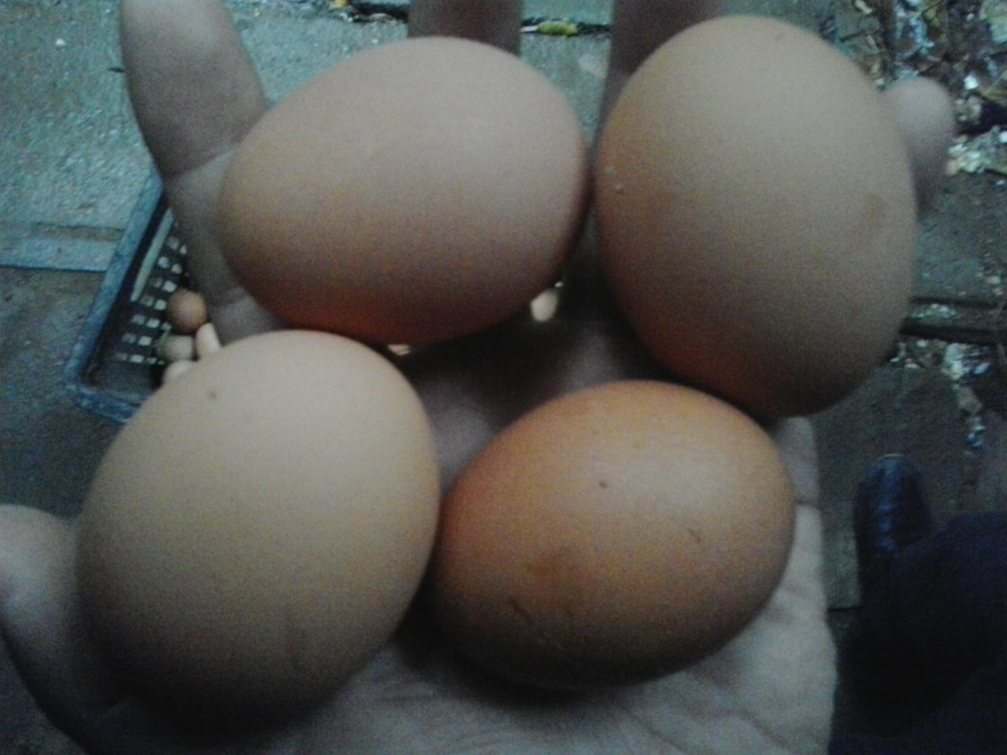 乐宝体育·(中国)官方网站