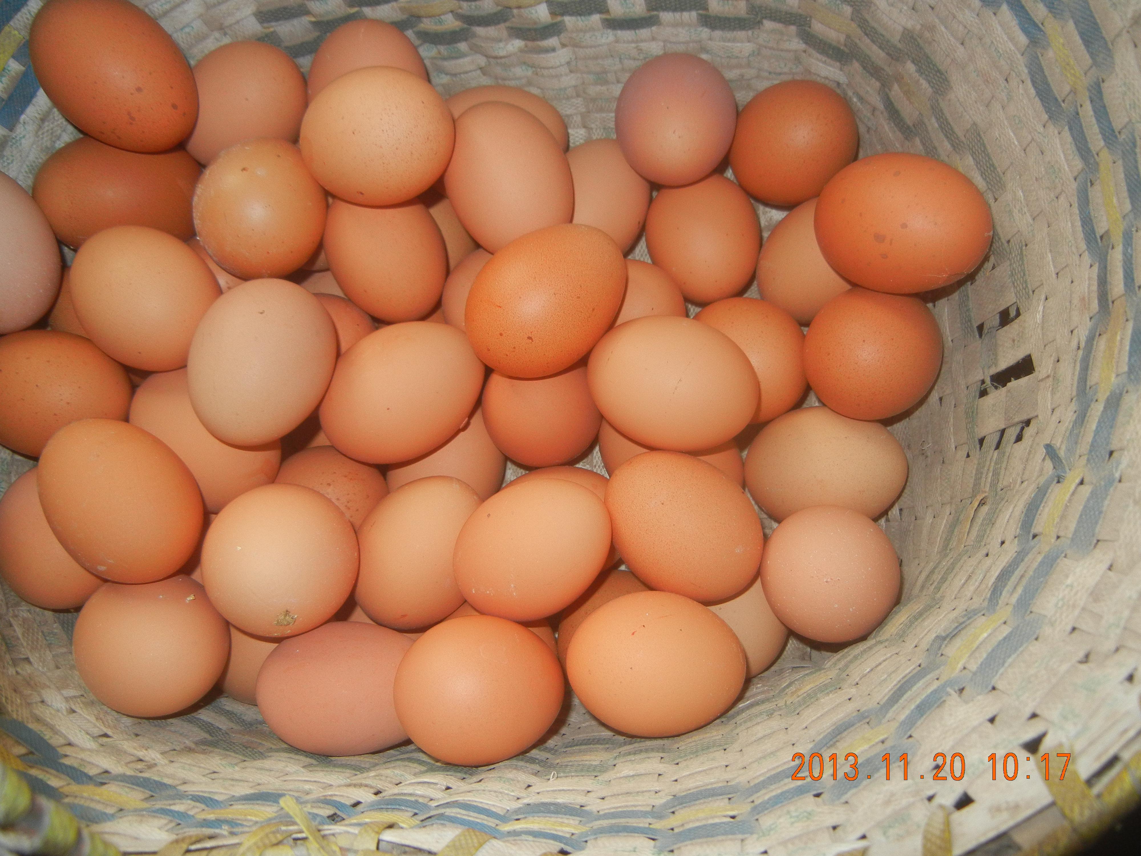 乐宝体育·(中国)官方网站