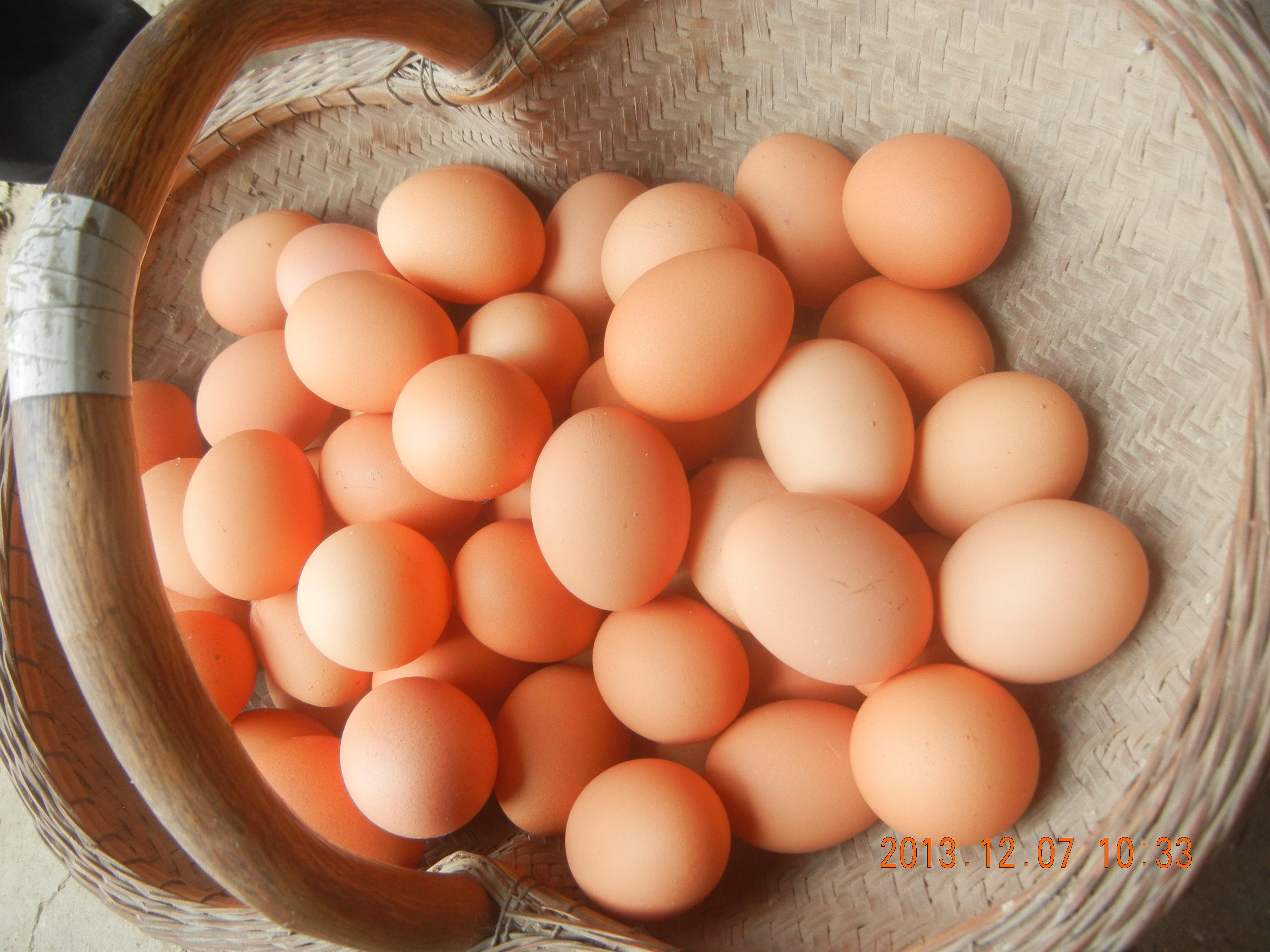 乐宝体育·(中国)官方网站