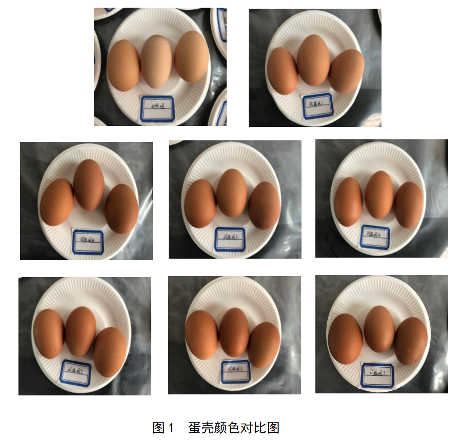 乐宝体育·(中国)官方网站