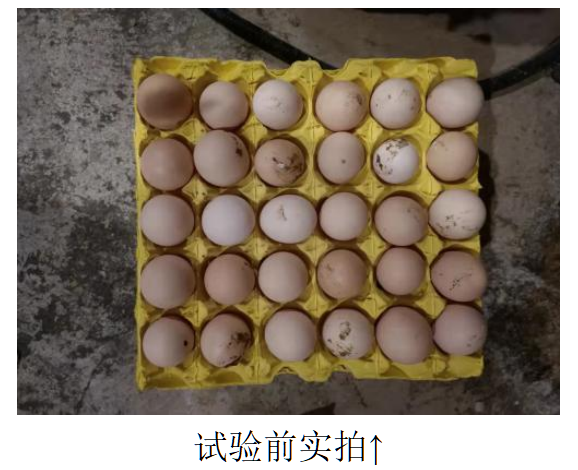 乐宝体育·(中国)官方网站