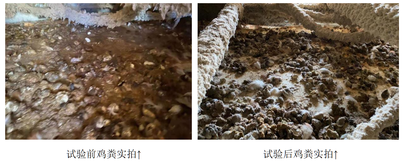 乐宝体育·(中国)官方网站