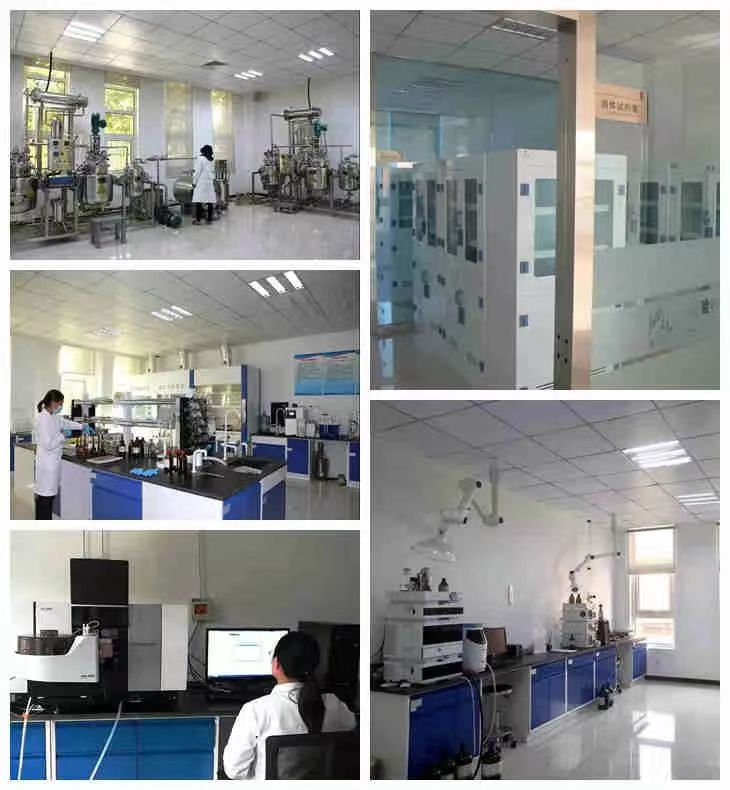 乐宝体育·(中国)官方网站