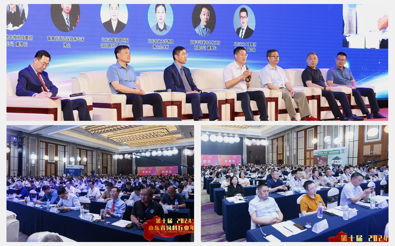 乐宝体育·(中国)官方网站